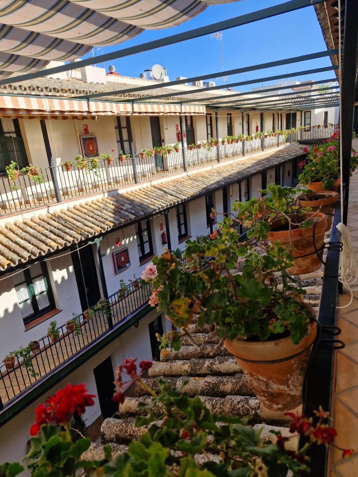 Patio Cartuja Apartment Seville Luaran gambar