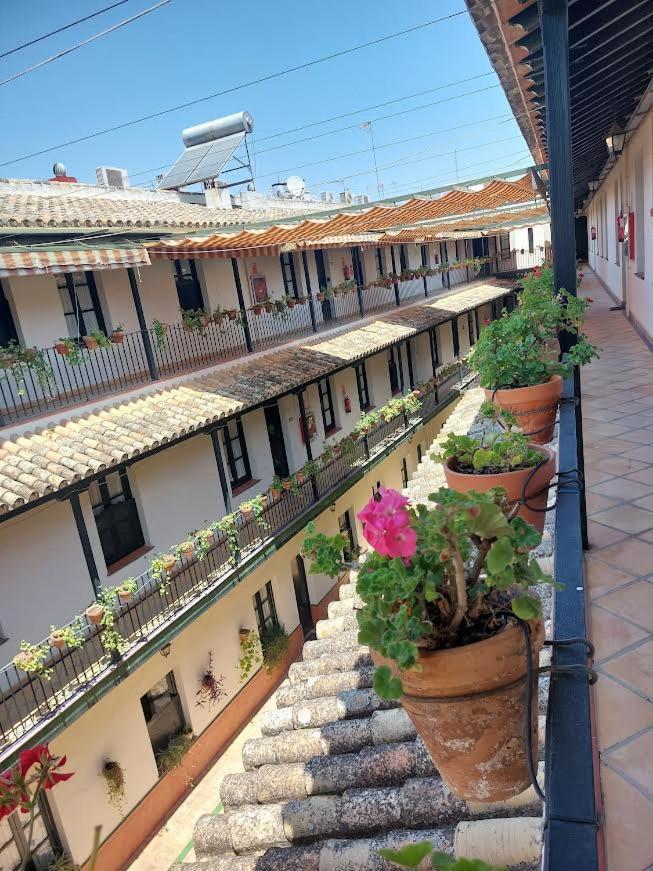 Patio Cartuja Apartment Seville Luaran gambar